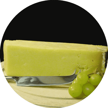 cantal cheese