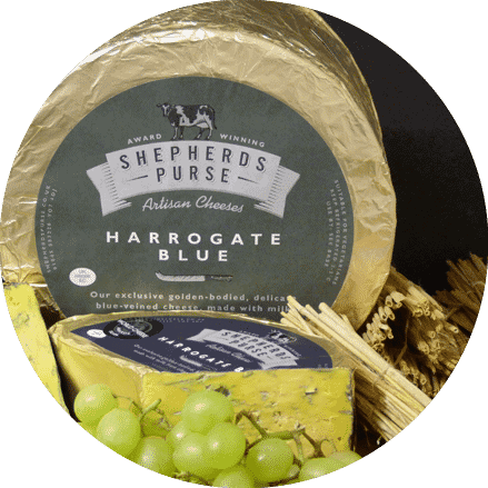 Harrogate Blue